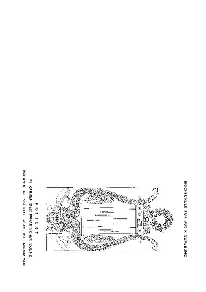 op41B_ua-programm.pdf