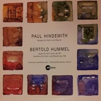 Suite for horn solo