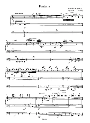 hummel_op101E.pdf