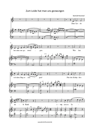zum_leide_hat_man_uns_gezwungen.pdf