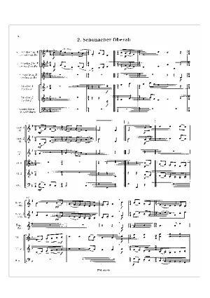 schwarzwaldtaenze2-4-8.pdf