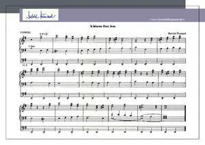 Schönster Herr Jesu (Orgelvorspiel)