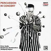 Concerto for percussion and large orchestra