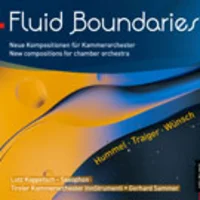 Partita for chamber orchestra