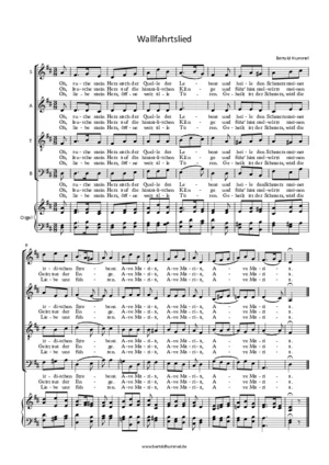 wallfahrtslied_2000.pdf