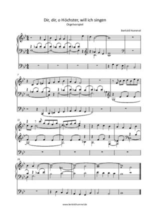dir_dir_o_hoechster_will_ich_singen.pdf